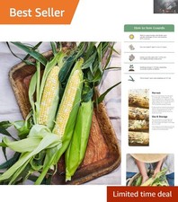 GMO-Free Peaches  Cream Sweet Corn Seeds - 200 Seeds for Flavorful Harvests