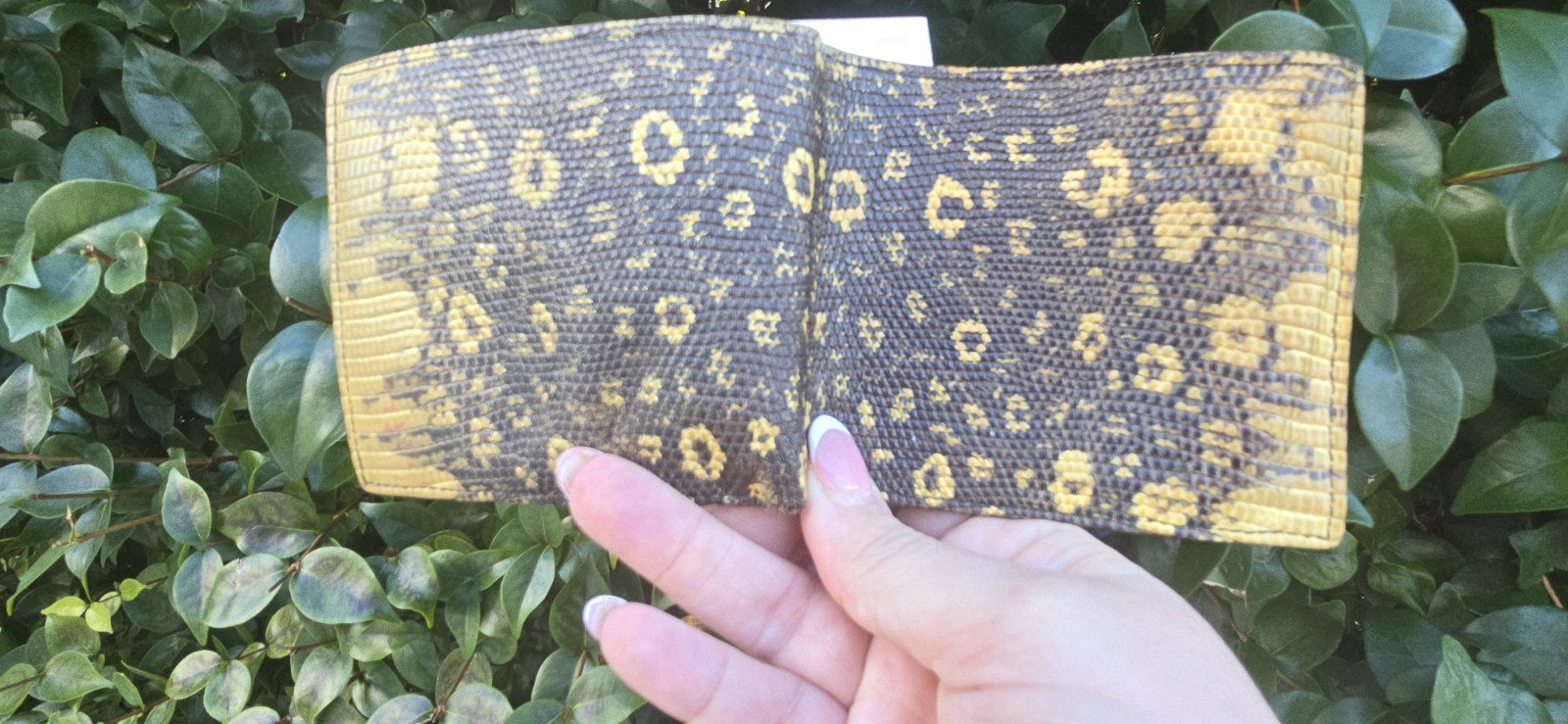 Prada Wallet Python Beige Python Leather Authenti… - image 9