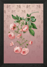 Vintage Pink Rambler Roses Framed Wall Art Poster Canvas Print Picture