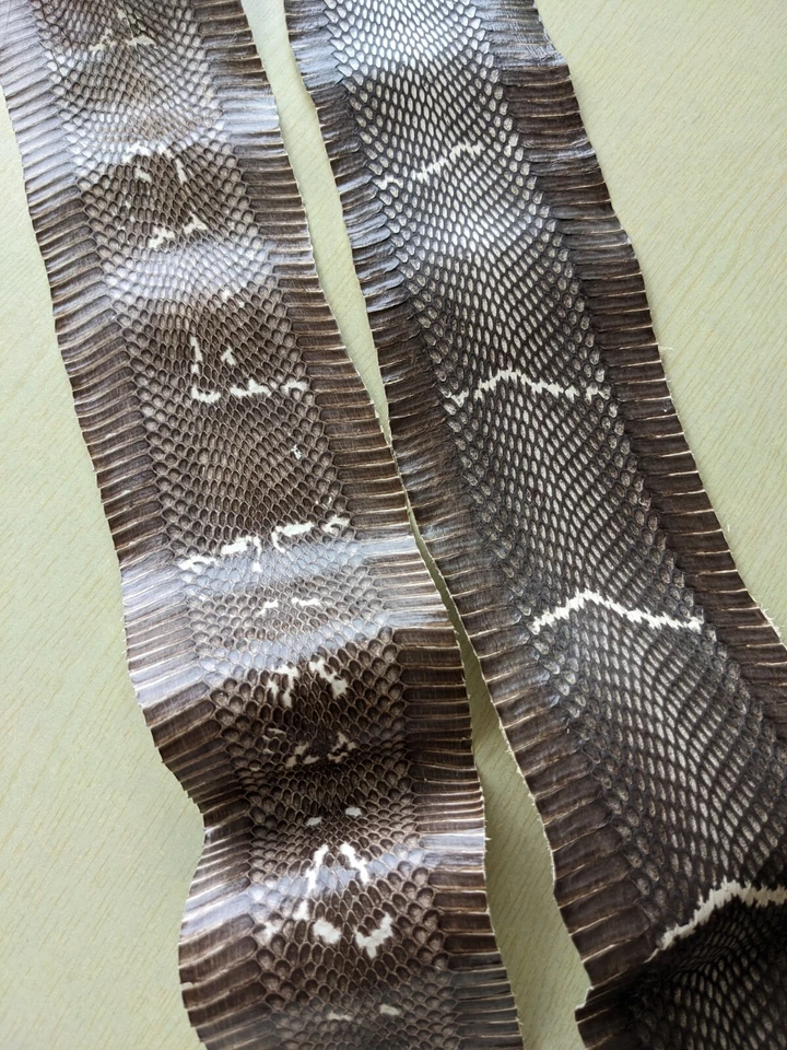 Asia Cobra Snake Skin w/ Hood Mark Snakeskin Hide Leather without Hole - Image 2 of 4