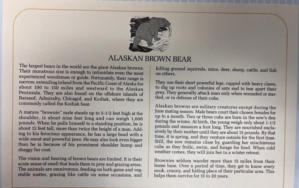American Wildlife Mail Cover FDC & Info Sheet Alaskan Brown Bear 1987 - Image 2 of 4