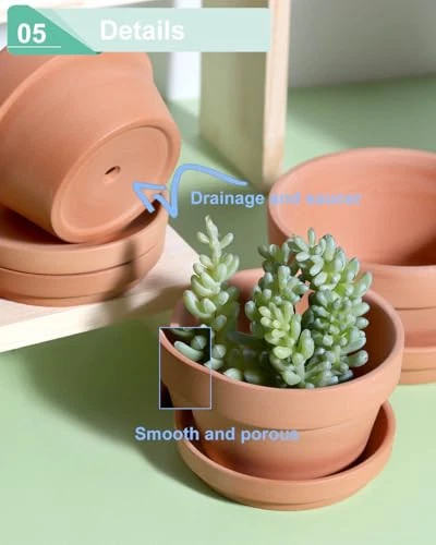 3.7 Inch Terracotta Shallow Succulent Pots - 6 Pack Terra Cotta Clay Pot with - Picture 6 of 7