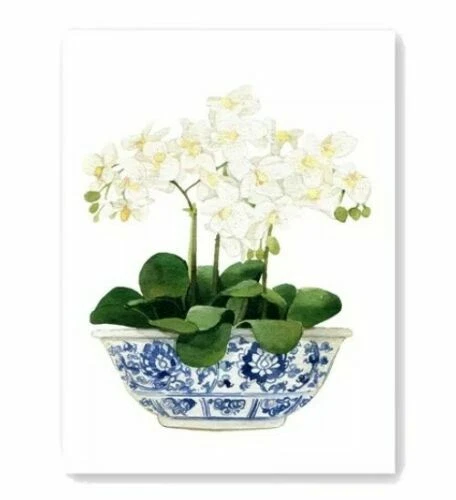 Orchid Framed Decorative Posters & Prints