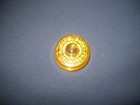 blinking Goldschlager  clip on button — photo 7