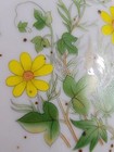 Foto 11 di 11