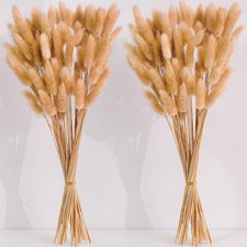 120 PCS Nature Dried Pampas Grass Decor, 17-inch Pompas Floral, Dry Flowers f...