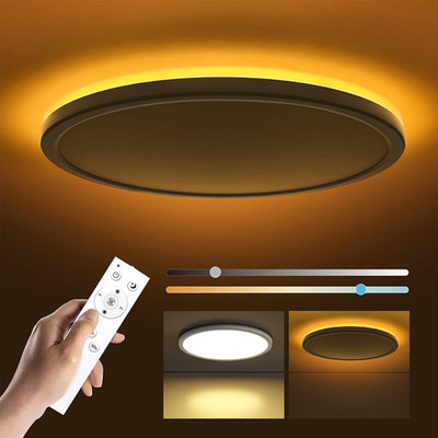 12In LED Flush Mount Ceiling Light Fixture with Remote Control, Nightlight 2000K