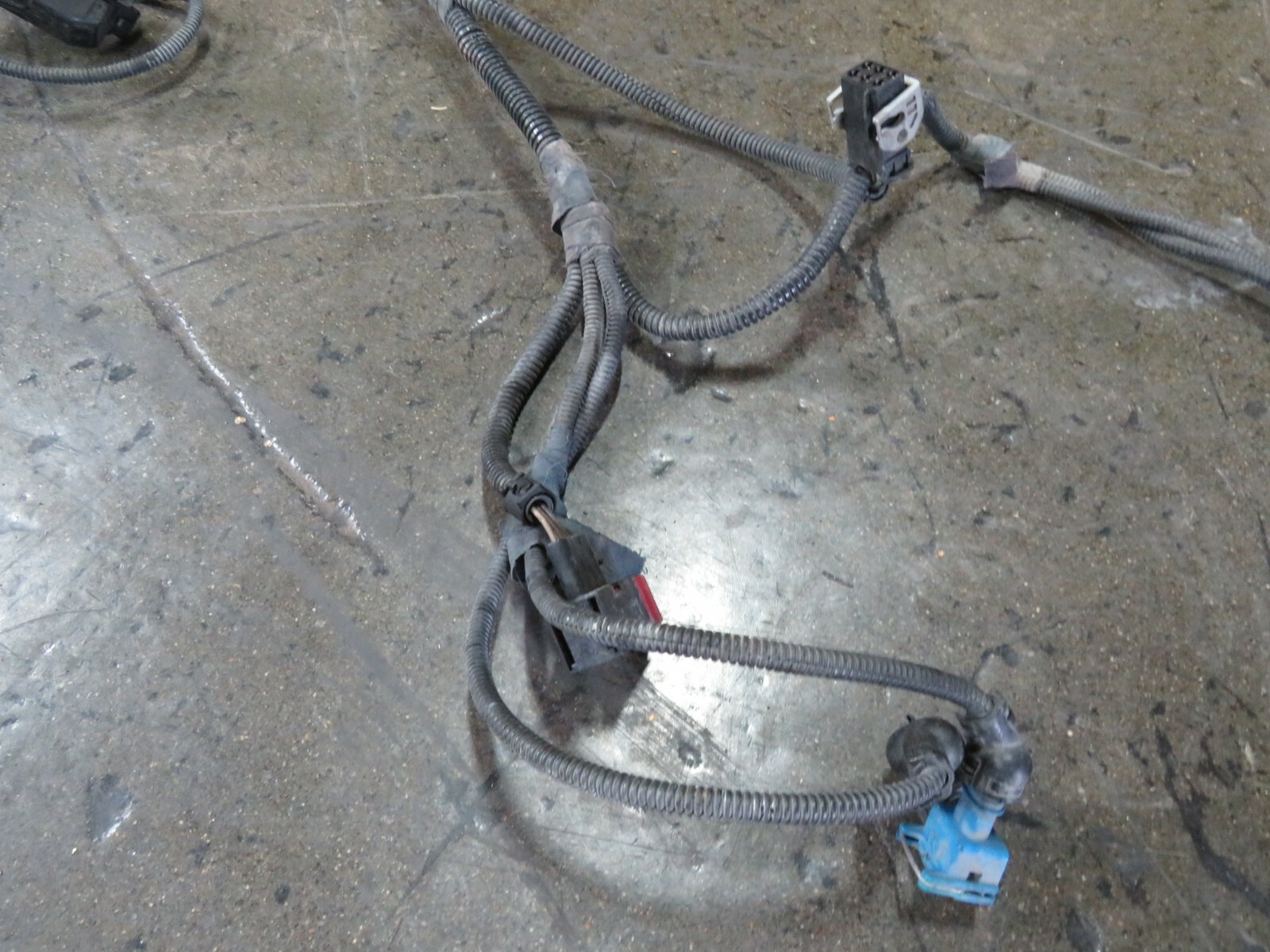 Ferrari 360 Spider, LH, Left, Main Engine Wiring Harness, Used, P/N 179168