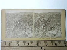 Gulf of Mexico Mt. Washington New Hampshire Stereoview Antique c1875 Y19022