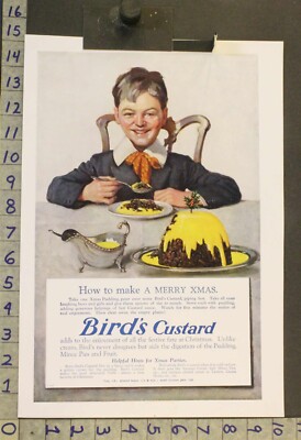1924 BIRDS CUSTARD HOLIDAY CHRISTMAS PUDDING FOOD KITCHEN DECOR ART AD XJ61
