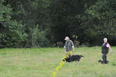 Foto 12x8 North Devon: Grasfeld & Hundewanderer South Molton zwei Personen c2015