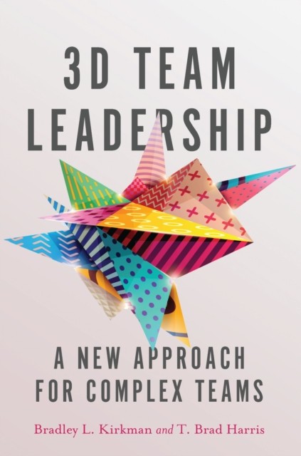 3D Team Leadership by Bradley L. Kirkman HARDBACK 9780804796422