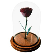 Forever Rose Enchanted Burgundy Preserved Rose  Hand Dipped Rose in Lacquer ...
