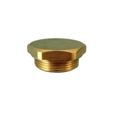 Leonard Valve 06 Rf Strainer Cap