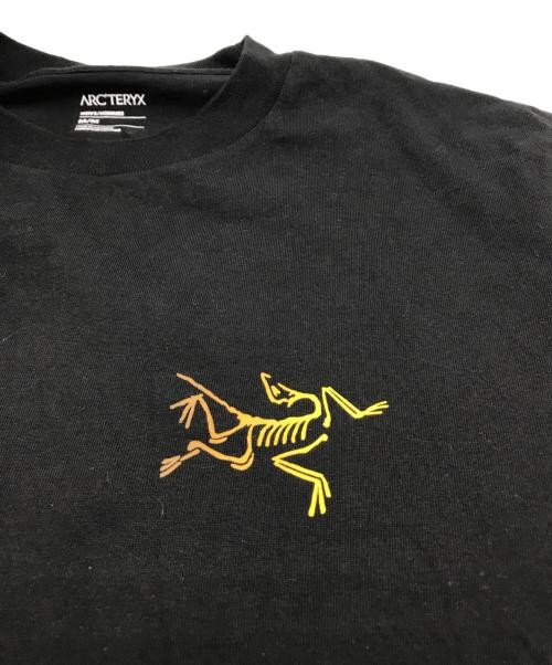 M Arc'Teryx Kragg Cotone Logo Ss