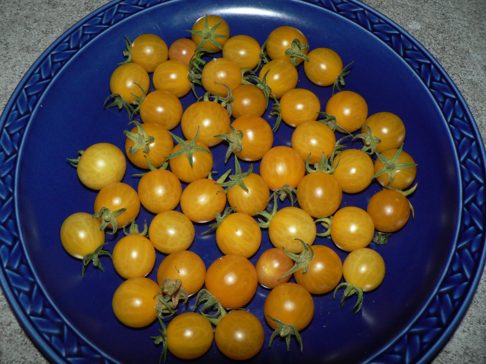 Golden Currant 20+ Samen Tomaten Wildtomaten Bio alte Sorte - frische Ernte 2024