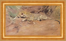 Wilhelm Kuhnert Ein Leopard A leopard Sand Sträucher Äste Museumsgroesse 072
