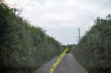 Photo 6x4 North Devon : Springhill Down Hill Mogworthy 4 c2015