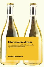 Effervescenze diverse. Vini ancestrali, birre acide, sidro e idromele: le fermen