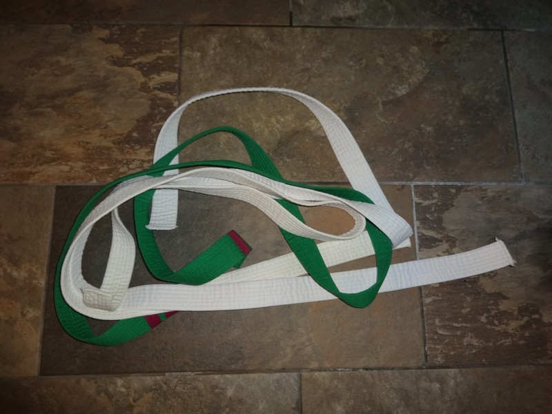 Lot 3 Martial Arts Karate Taekwondo Ju Jit Su MMA Belts -2  white & 1 green