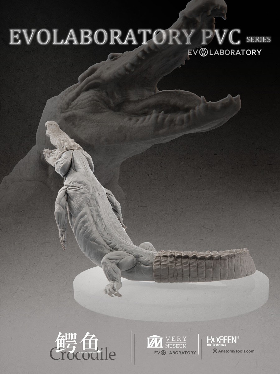VM Crocodile 1:8 Anatomy v.2 ワニ フィギュア 【公式通販】