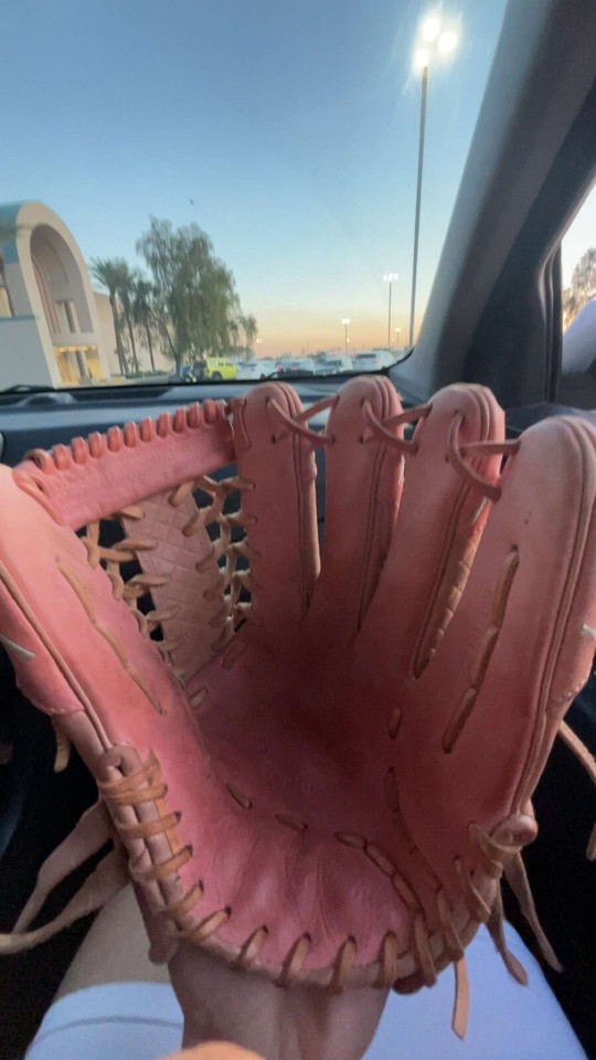 Aria Ice Cream Glove 12.5 Inch eBay