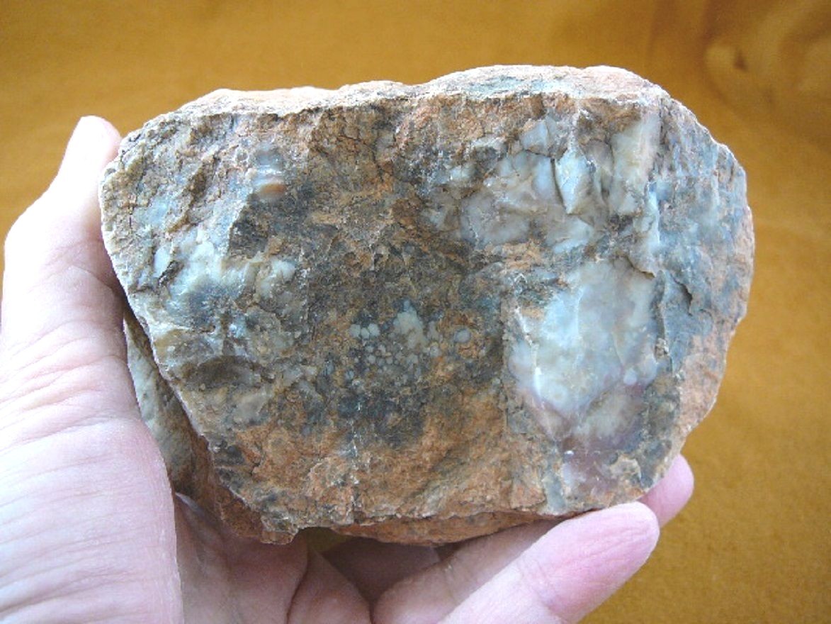 DF844-163) 3 lb Fossil REAL DINOSAUR POOP Coprolite Dino Valley