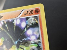Pokémon TCG 2016 - Zygarde - XY152 - Holo Promo - XY Promos ~ GALAXY SWIRL🪐