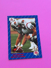 1991 All World CFL - #13 Ian Sinclair - British Columbia