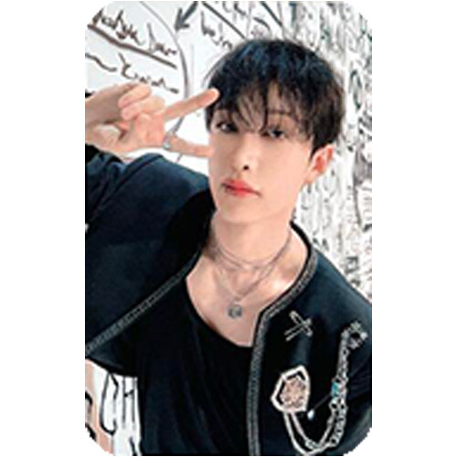 STRAY KIDS WORLD TOUR DOMINATE ATE SEOUL PHOTOCARD SKZ SKZOO UNIT CAFE STAY ZONE - Picture 10 of 49