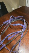 Two Horse tack BLING Beta Biothane Western Bridle with Full Browband