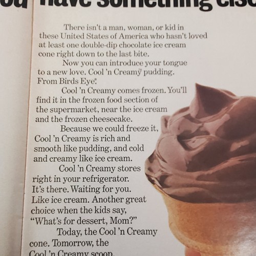1971 Ad Birds Eye Cream Chocolate Pudding Dessert Ephemera Print Advertisement - Picture 10 of 12