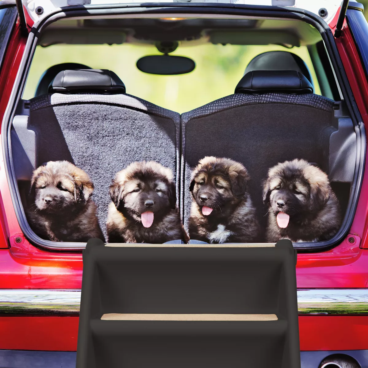 Scaletta da auto per cani, rampa per amici a 4 zampe salita discesa divano