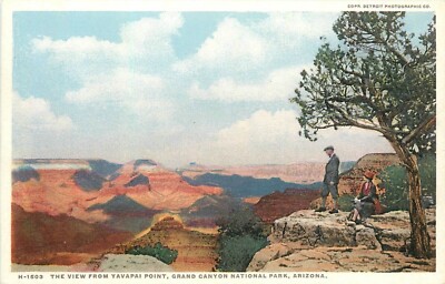 Postcard C-1910 Arizona Grand Canyon View Yavapai Point Fred Harvey AZ24-4384