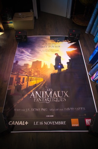 FANTASTIC BEASTS A French Shelter Rolled D/S Vintage Movie Poster Original 2016