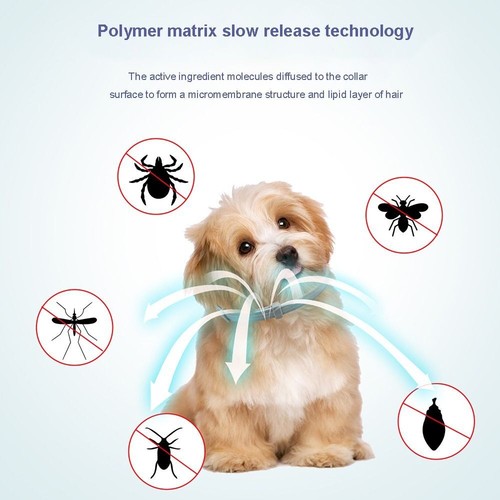 8 Month Protection Pet Flea and Tick Collar Antiparasitic Cat Collar - Picture 8 of 34