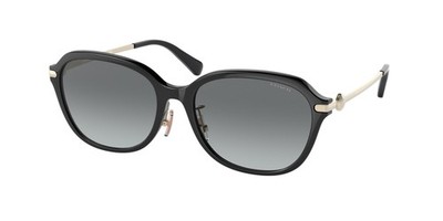 COACH HC8332D 500211 C6199 Black Grey Gradient 56 mm Women's Sunglasses