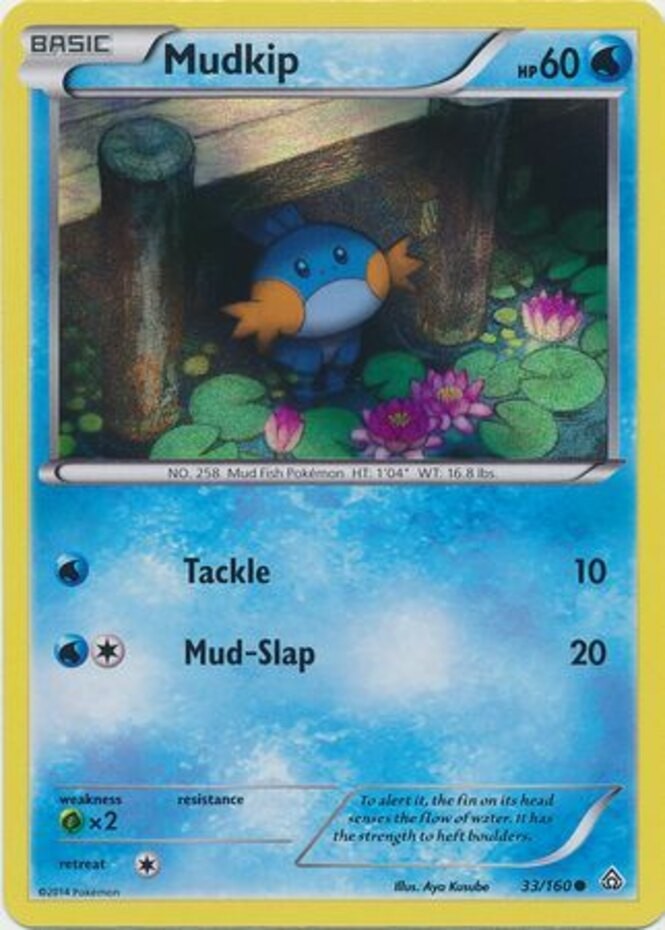 Mudkip - 33/160 - Sheen Holo Collector Chest Exclusive NM, English Pokemon Pokem