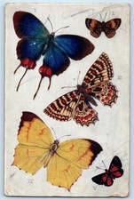 1909 Butterflies And Moths Signed Aquarette Tuck Posted Antique Postcard