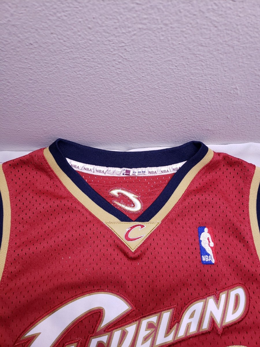 Vintage RARE Hardwood Classics NBA Lebron James 2003-2004 Vintage RARE Hardwood Classics NBA Lebron James 2003-2004