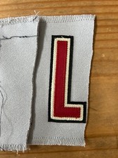 Astros Game Used MiLB Jersey Nameplate Letter Patches - Letter L