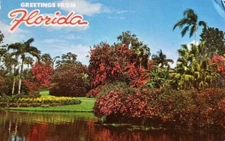 Cypress Gardens Greetings From Florida 1967 Vintage Postcard
