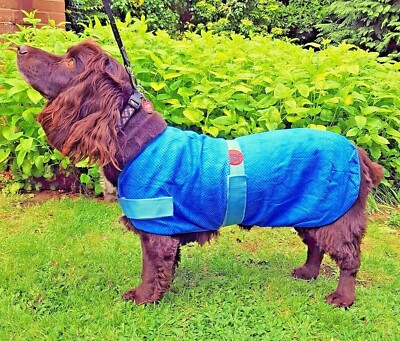 petface cooling coat