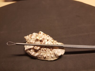  Ohrenreiniger nach Billeau Fig.3 large Ohrschlinge, ähnlich 36-554-03 Ear Loop