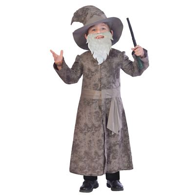Grau weiser Zauberer Kostüm Harry Fantasy Merlin Buch Woche Zauberstab