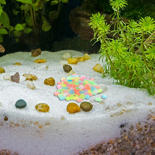 500 Pcs Leuchtende Kieselsteine Landschaftsstein Aquarienlandschaftsstein - Bild 5 von 12