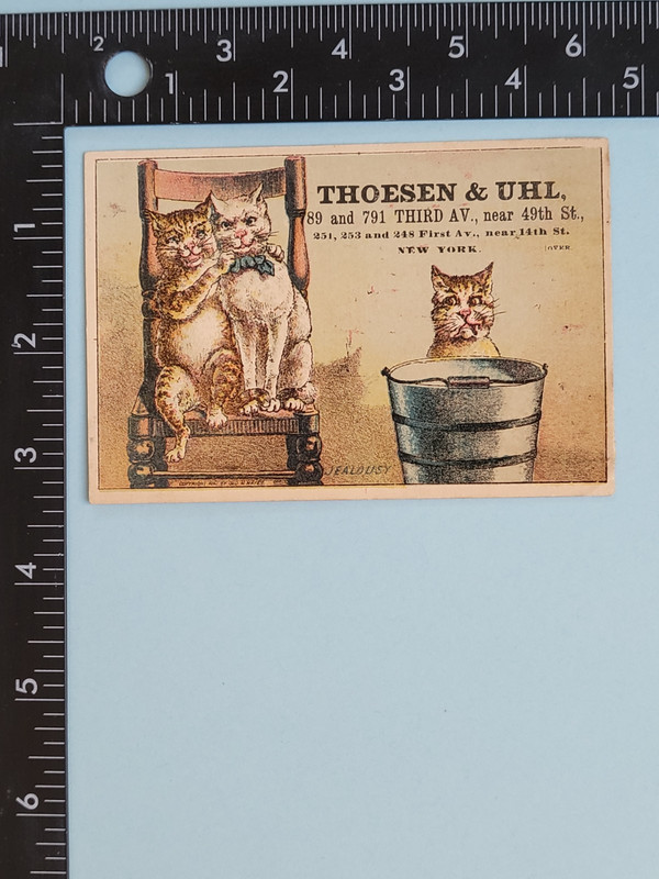 original victorian trade card three Cats Advertising Vtg furniture rocking chair