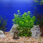 Bild 9 von 12