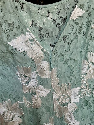 NWT Adrianna Papell Mint Floral Embroidered Lace Dress Size 4 | eBay