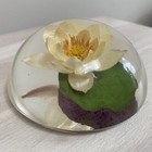 Picture 6 of 8